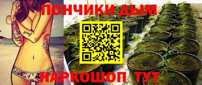 индика Рузаевка