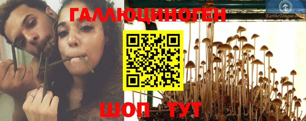 Галлюциногенные грибы Psilocybe  Вход с VPN  Киржач 