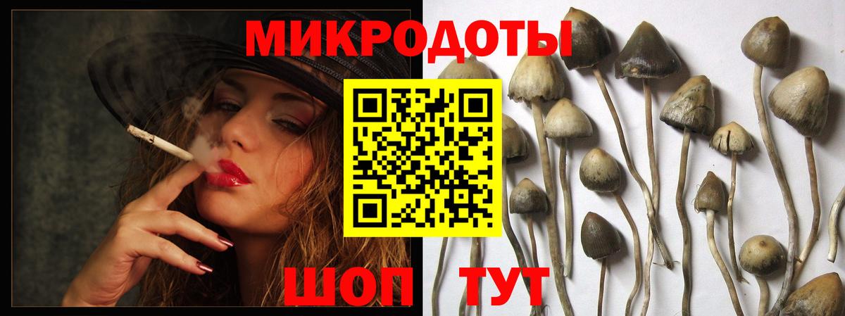 Псилоцибиновые грибы Magic Shrooms Киржач
